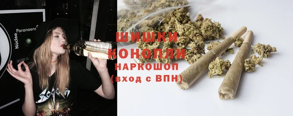 гашик Мегион