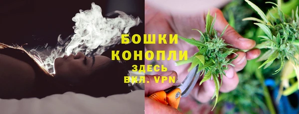 эйфоретик Магас