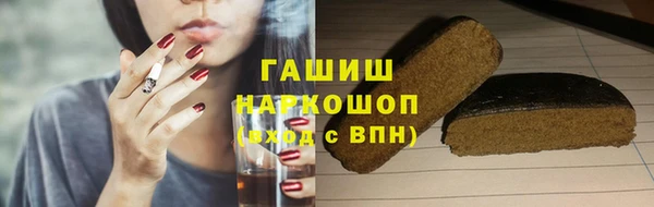 гашик Мегион