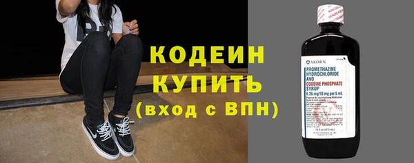 гашик Мегион