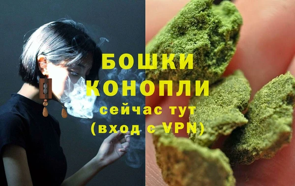 Альфа ПВП Медногорск
