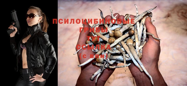 каннабис Майский