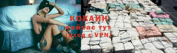 каннабис Майский