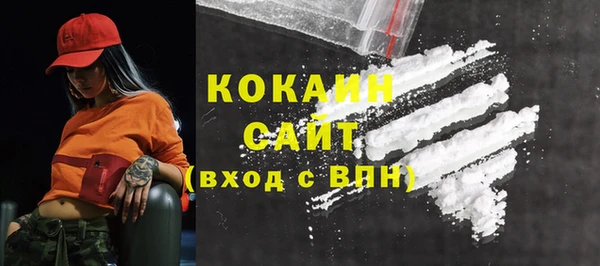 гашик Мегион
