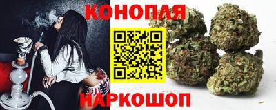 дурь Кингисепп