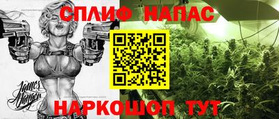 индика Кинель