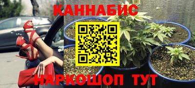 дурь Кингисепп