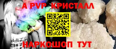 дурь Кингисепп