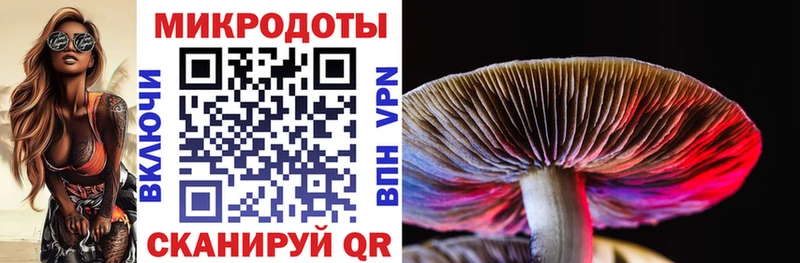 Галлюциногенные грибы мухоморы  купить закладку  Арсеньев 