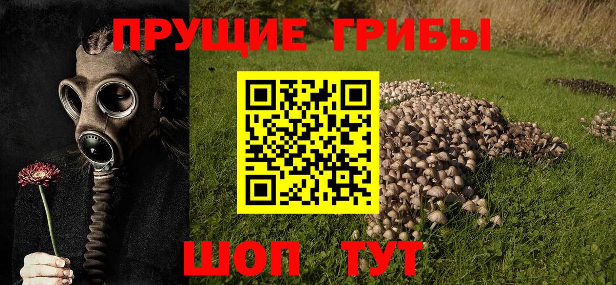 Гашиш Арсеньев