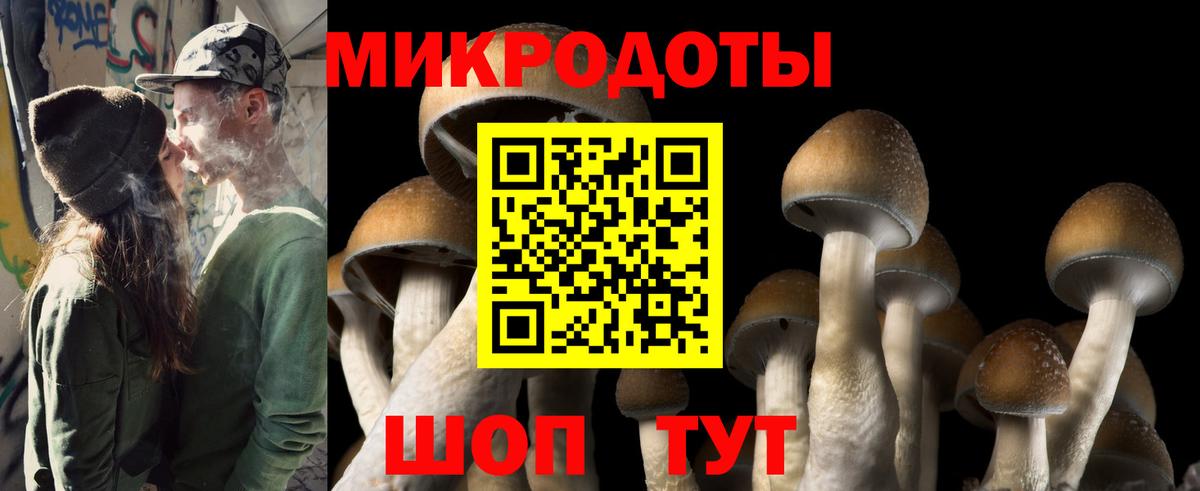 Псилоцибиновые грибы Magic Shrooms Арсеньев